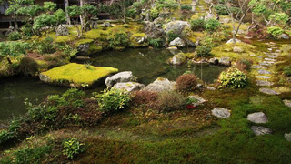 Illustration for article titled Bad Tourists Lead to Photography Ban at Japanese Temples